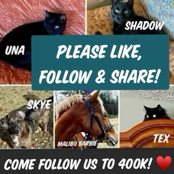 Other - FOLLOW THE JONESES TO 400K!